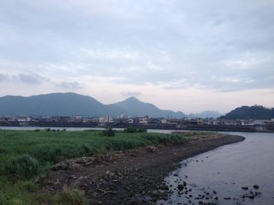 おいしい魚を食べに沼津へ