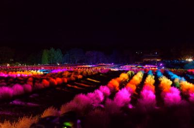 みちのく湖畔公園イベント～コキアカリ～