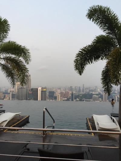 2014シンガポール 二日目 マリーナベイサンズ編