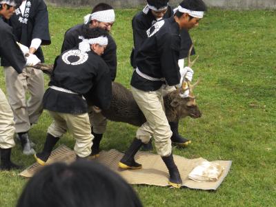 鹿の角きりと奈良公園周辺の寺社巡り