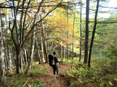 千畳敷～空木岳縦走2日目　中腹の紅葉が見ごろ、伊那のご当地グルメ