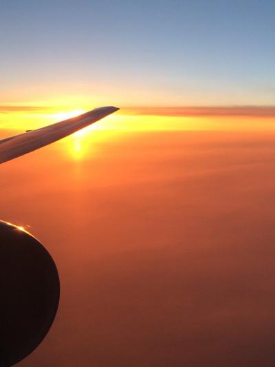 ハノイ羽田直行便に乗る！ 機材はまだ追いつかず