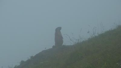 ２０１４年スイス旅行（３２）～St.Moritzの最終日、もう一度Corvigliaへ…