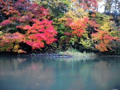 紅葉狩り　自宅～日高～帯広へ日帰りドライブ