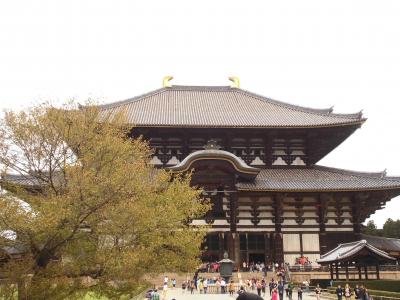 ソムリエと巡る奈良の世界遺産