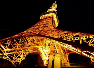 夜の東京タワーと国会議事堂見学など。。。