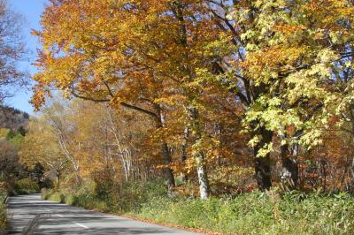 733	紅葉　福島県南会津郡桧枝岐村