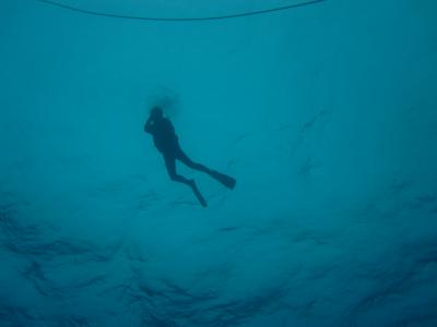 沖縄・座間味島でダイビング
