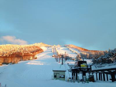 志賀高原スキー場でアルバイト体験