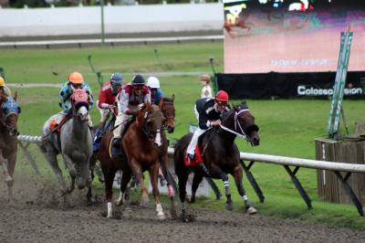 競馬観戦 （ヘイスティングス競馬場）