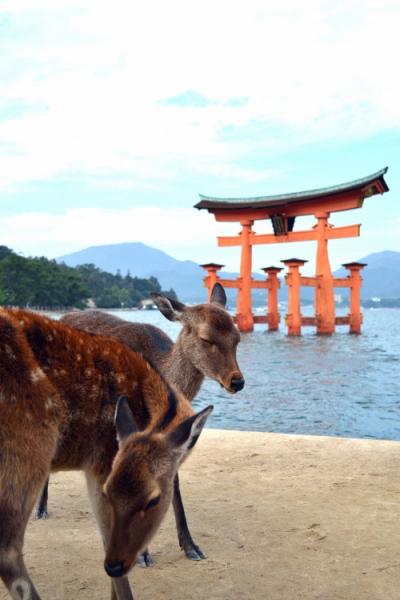 国内くるま旅 広島・愛媛・香川・岡山~広島 宮島編~