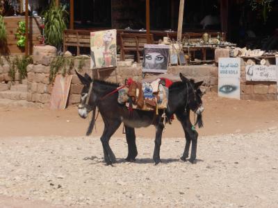 一人旅2 ヨルダン ④