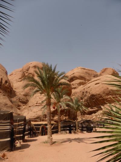 一人旅2ヨルダン ⑤