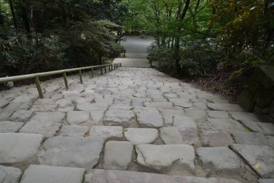 奈良　　涼新た長き石段のぼりけり