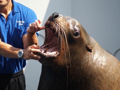 マリンピア日本海