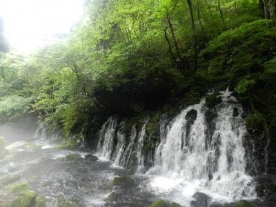 美しい潜流瀑！♪『元滝伏流水』（秋田県にかほ市）◆2014年8月／山形・秋田・宮城の滝めぐり≪その５≫