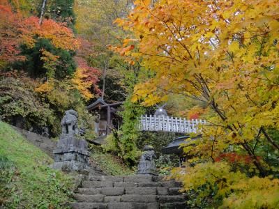 紅葉の戸隠神社・奥社および中社参拝