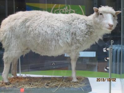 英国18日間の旅 (4)エジンバラ 帰国