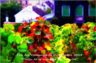 モンマルトルのブドウ収穫祭2014　ブドウ畑訪問編 - Fete des Vendanges de Montmartre 2014 &quot;Visites de la vigne de Montmartre&quot;