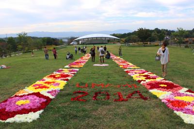 奈良　馬見丘陵公園　ダリアの花絨毯　