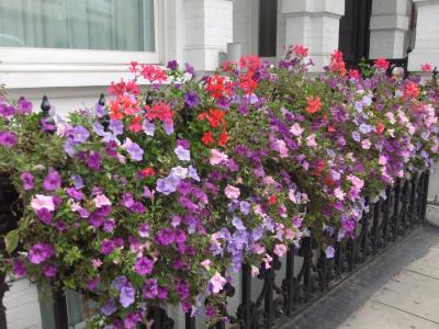 2014夏☆イギリス～ポルトガル遠征記☆ロンドン編Ⅰ