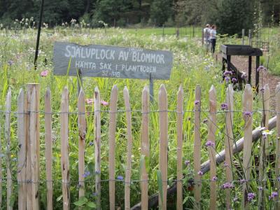 北欧旅行記 ストックホルム編2
