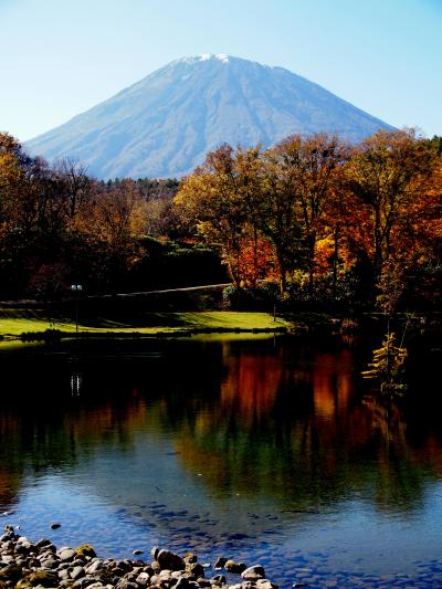 天気がいいので、紅葉の見頃も終盤、羊蹄山を見に京極町までドライブしました。