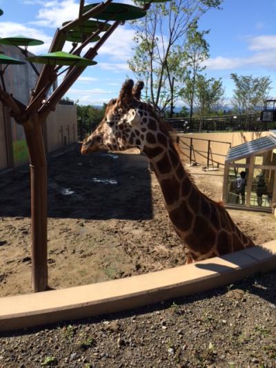 旭山動物園