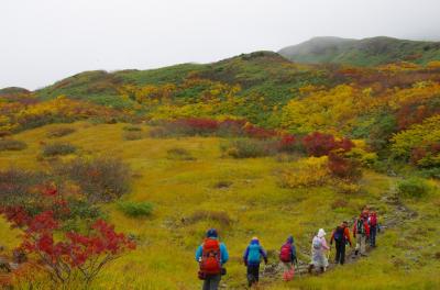 市民登山で紅葉を求めて（芭蕉も歩いた湯殿山～月山へ）