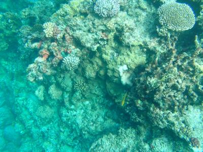 初☆八重山！食も遊びもガッツリと！！最終日は那覇