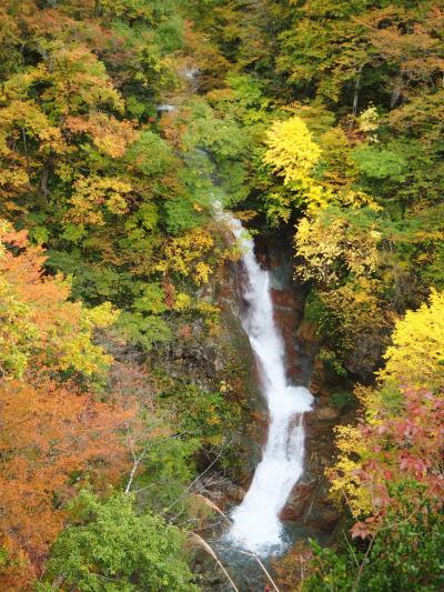 近くに行きたい　season2♪　「秋色に染まる志賀高原と秋山郷をドライブ(*^。^*)」