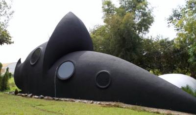 ☆バンドゥ日記 2014☆ 10月(後) ダチョウ牧場・ほっこり生活・プチツー