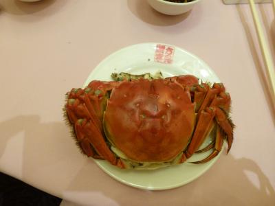 【久々の弾丸トラベラー】 おばQ 5回目の上海にして初のプライベート ~ しかも家族旅行で♪