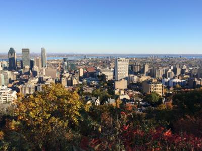 モントリオールの紅葉