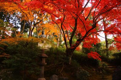 金戒光明寺　真如堂周辺の無料で楽しめる紅葉散歩♪