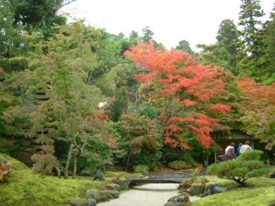 松島　2回目