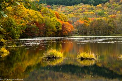 素晴らしい景色に感謝したくなるほどの観音沼の紅葉