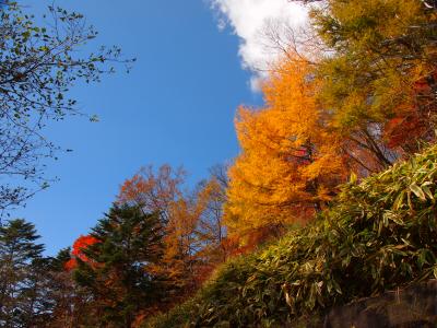 紅葉の男体山　半月山のおまけ付き