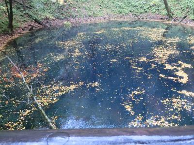 青森・温泉たび歩き　3日目（1）十二湖散策