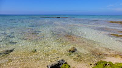 ＡＮＡの特典航空券で行く、石垣空港２時間滞在＆那覇１泊で本島中南部をレンタカーでドライブ＆観光の旅【ドライブ＆観光《ホテル日航アリビラ北側の海岸に立ち寄り》編】（２０１４年１０月）
