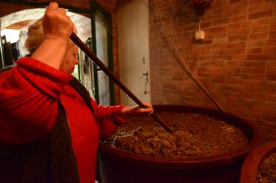 エゲルでは城壁から街を眺め、ミニトレインで美女の谷へ ~ 美しい街並みとワインを求めてハンガリー北東部の旅2014 Vol.7