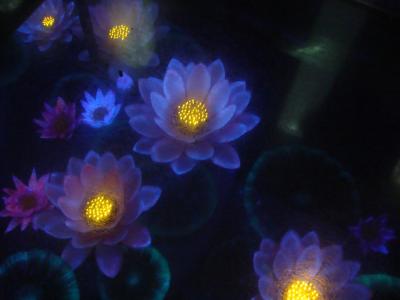 2014年10月韓国ソウル・扶余・公州~扶余編