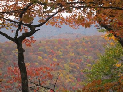 宮城の紅葉　その３　～　蔵王エコーラインで錦秋の道を走る　～