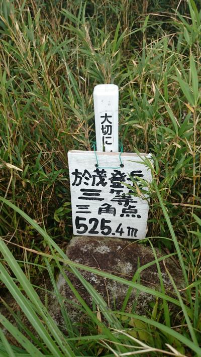 JAL修行のつもりが於茂登山に