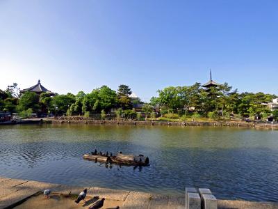 奈良3日間1日目(奈良市編①)