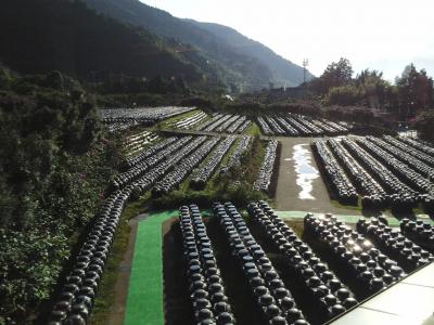 黒酢本舗「桷志田」と坂元醸造「くろず情報館」を見学して　　※鹿児島県福山町