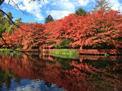 2014年秋旅行2日目長野