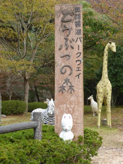 滋賀 湖北・湖東の紅葉を探す旅