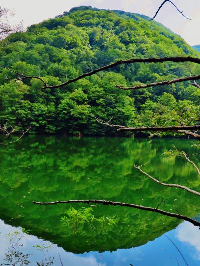 大潟村～八森ハタハタ館～十二湖　バス車窓　☆田園風景と海岸湖沼美