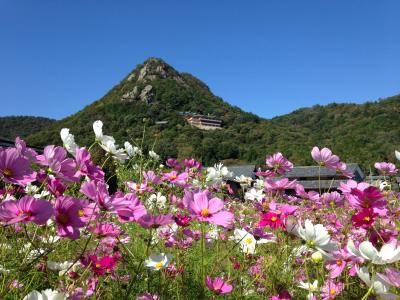 天空のパワースポット太郎坊宮!!